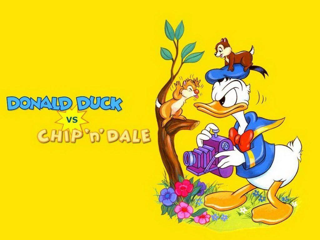 Chip N Dale On Yellow Background Background