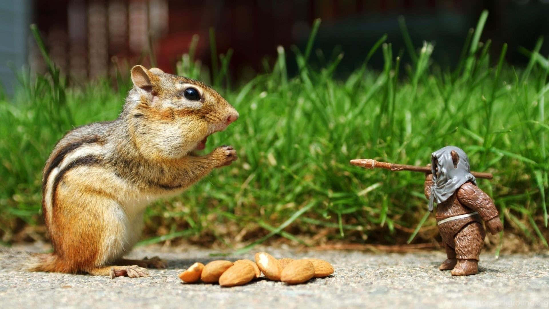 Chipmunkand Figure Standoff.jpg
