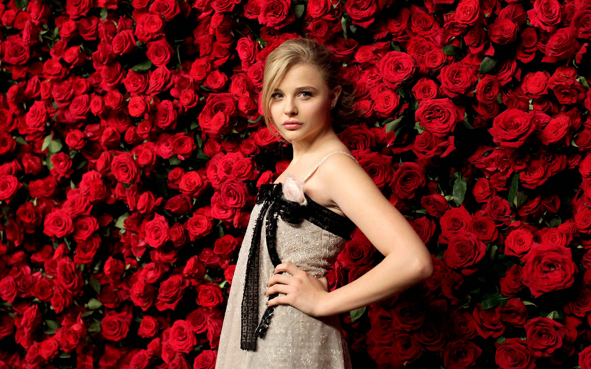 Chloë Grace Moretz With Red Roses