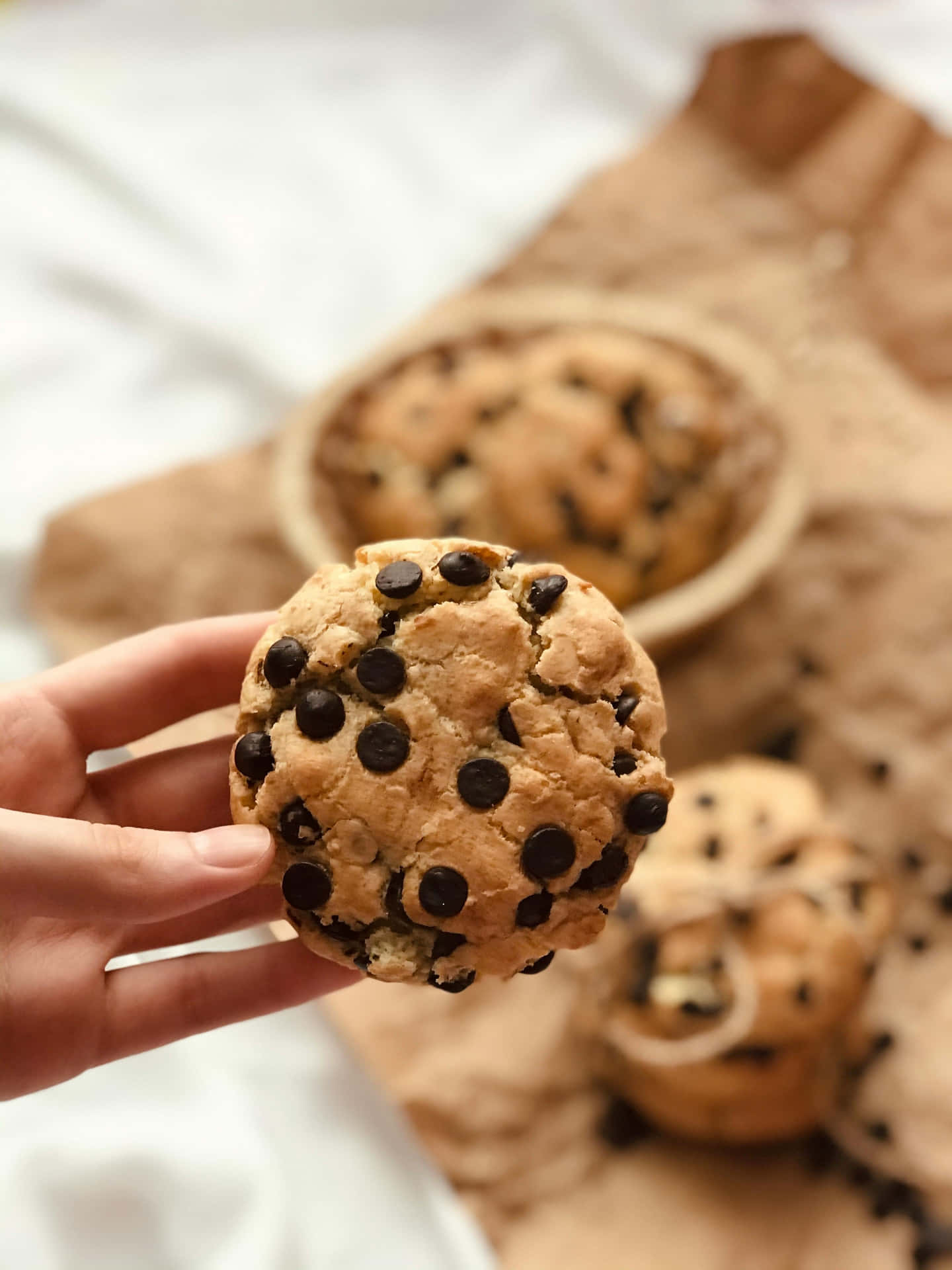 Chocolate Chip Cookie Heldin Hand Background