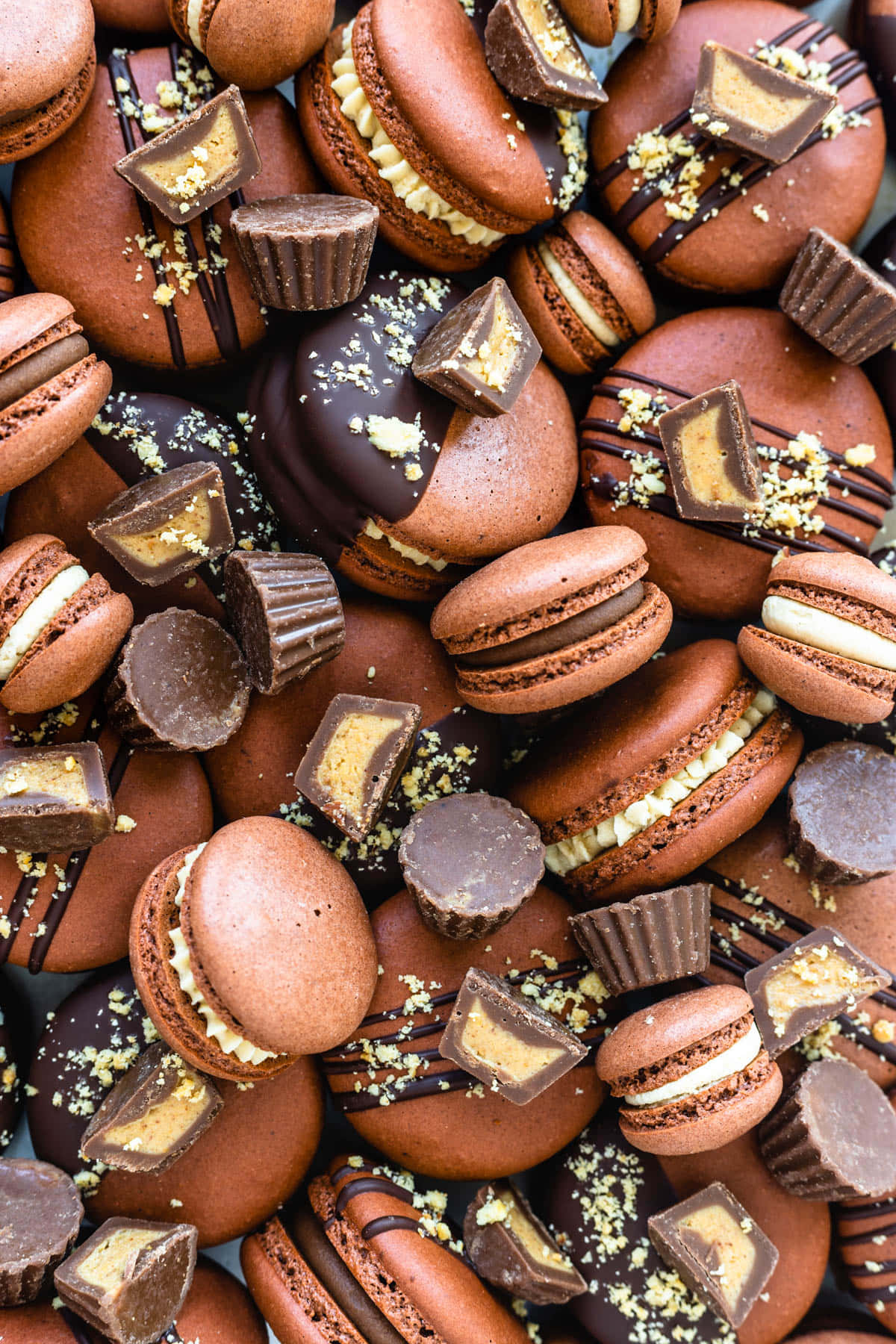 Chocolate French Macaron With Chocolate Buttercup Background