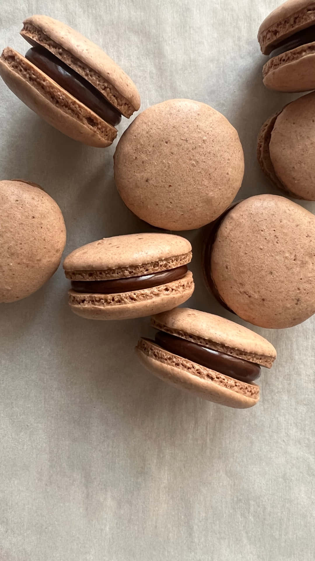 Chocolate French Macaron With Chocolate Filling Background