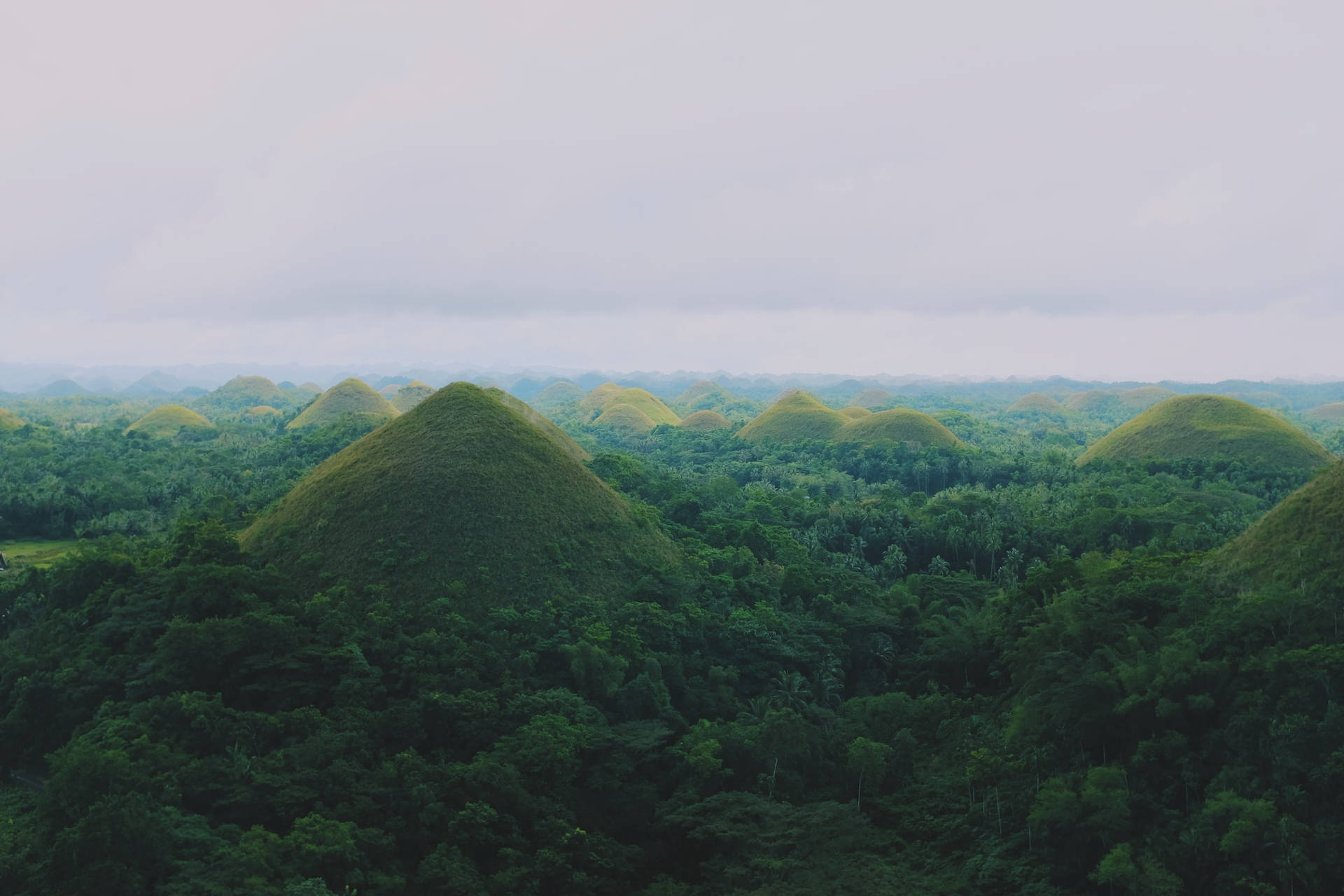 Chocolate Hills On Full Screen Desktop Background