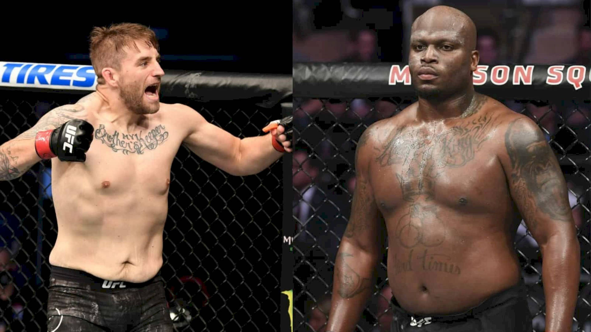 Chris Daukaus And Derrick Lewis Background