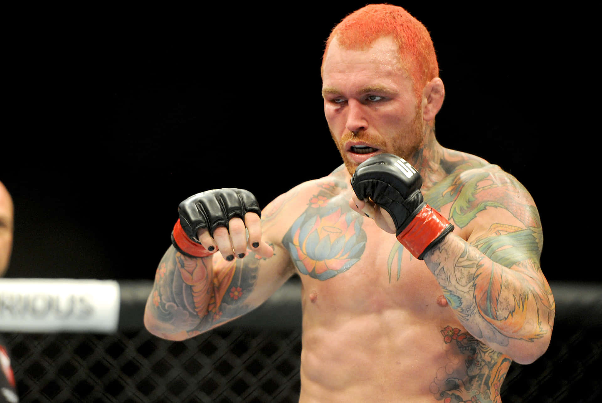 Chris Leben American Mma Fighter Background