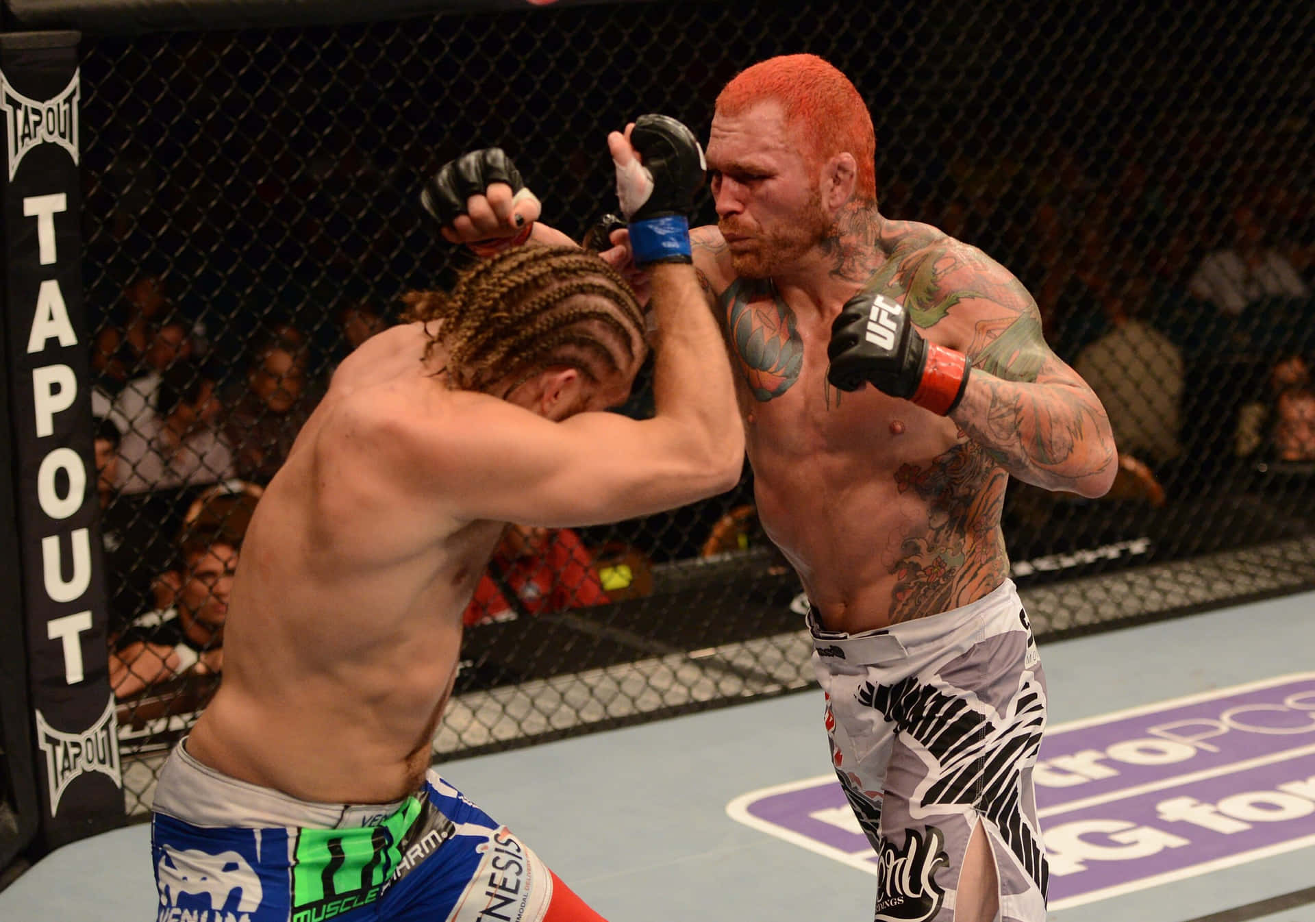 Chris Leben Fighting Andrew Craig Background