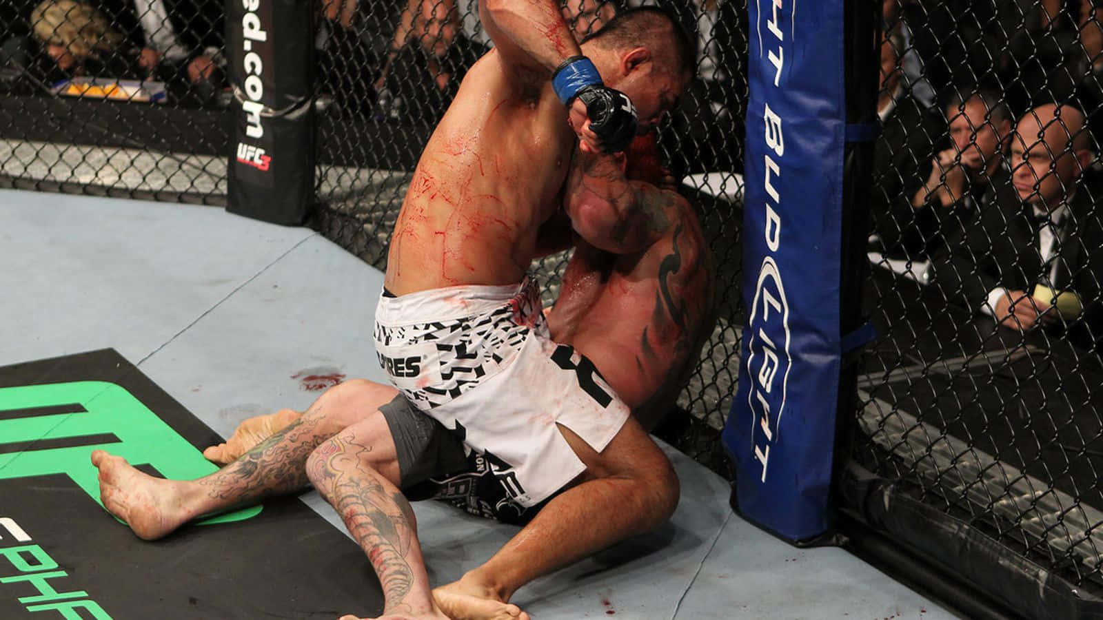 Chris Leben Mounted By Mark Munoz Background