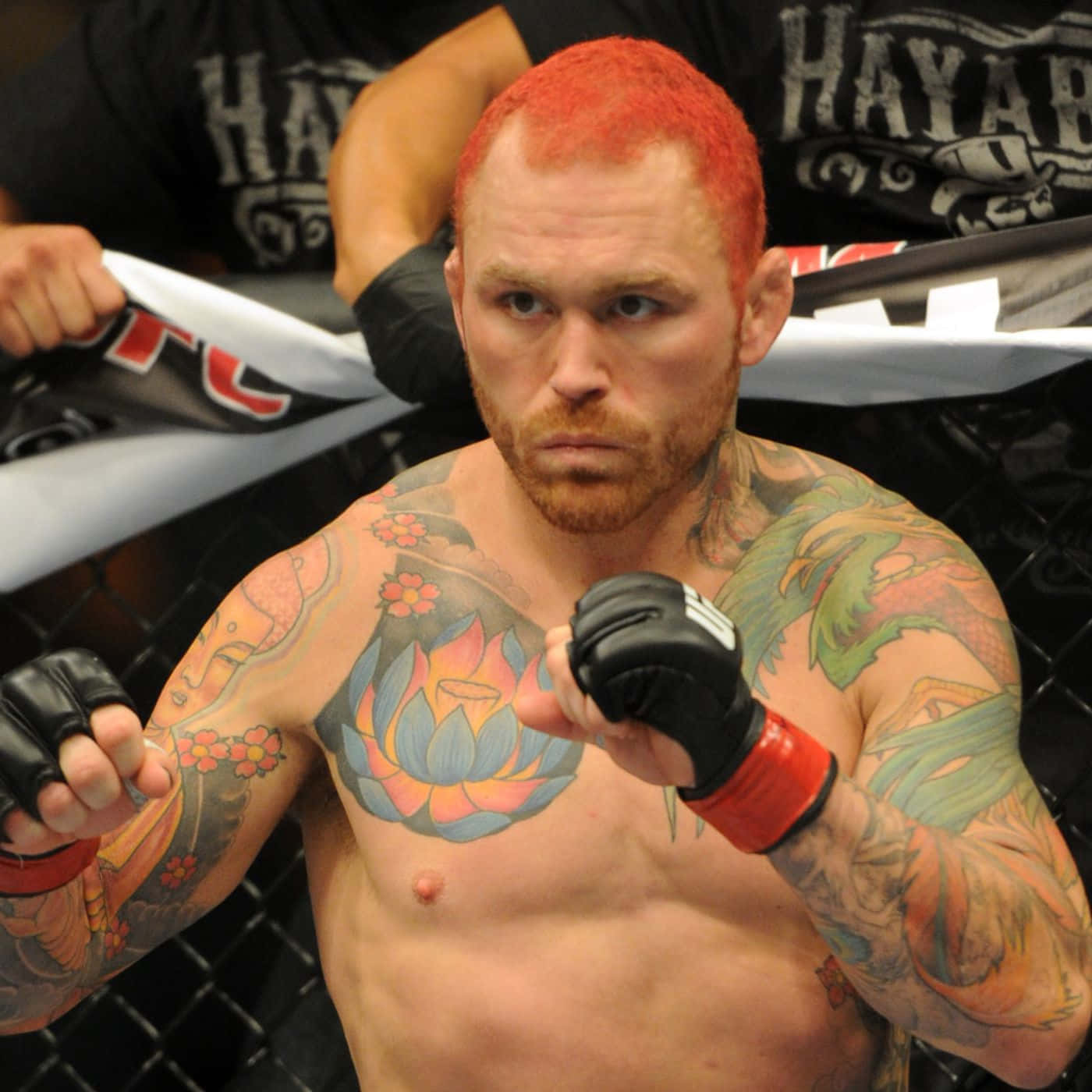 Chris Leben Ufc Knockout Artist Background