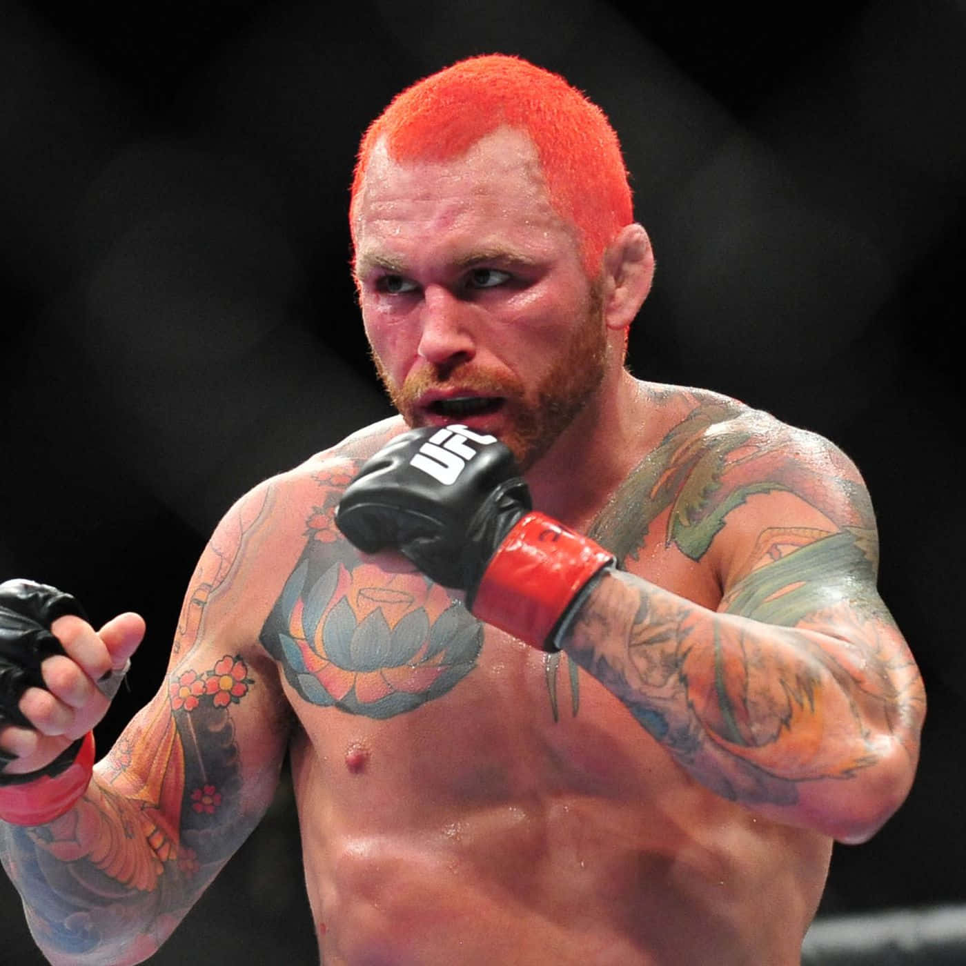 Chris Leben Wearing Black Ufc Gloves Background