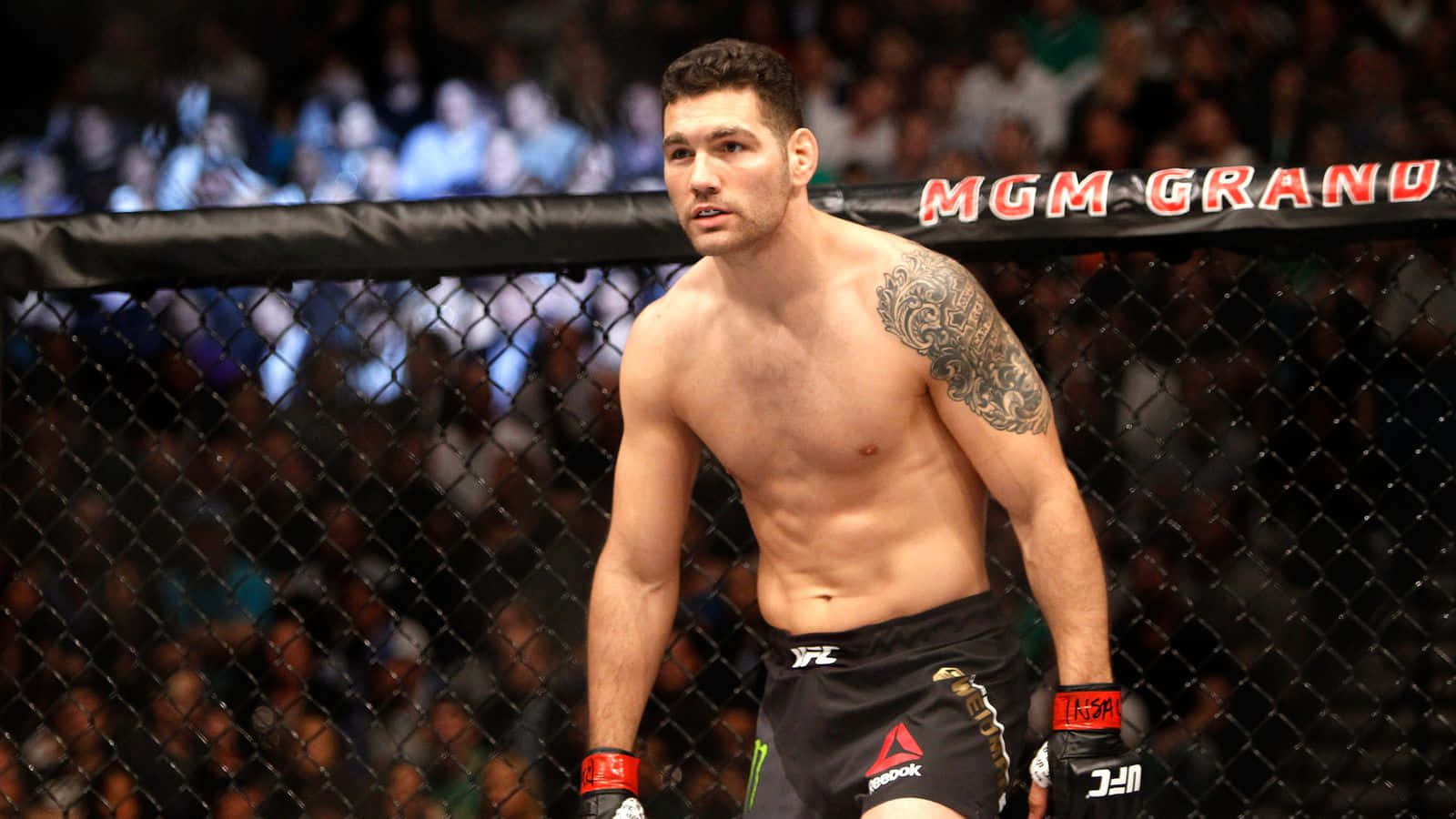 Chris Weidman Inside Cage Background