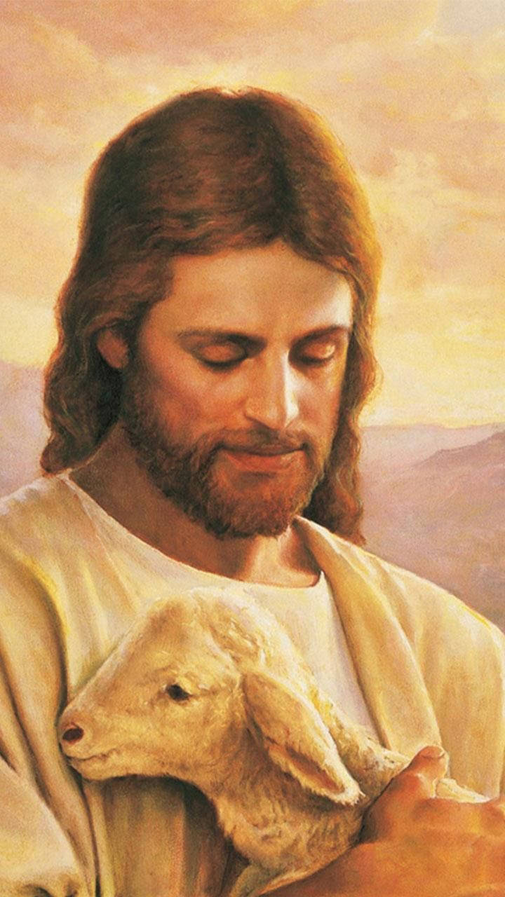 Christ With Baby Sheep Jesus Phone Background
