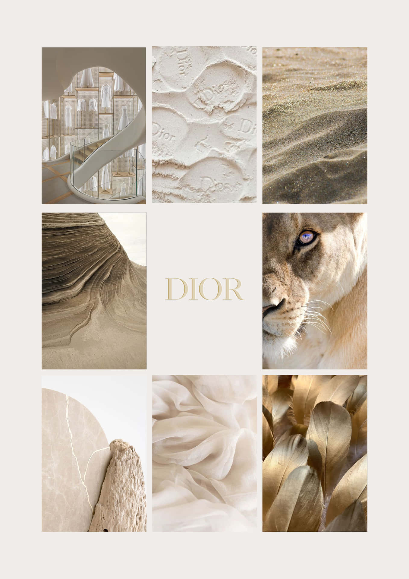 Christian Dior Inspiration Collage Background