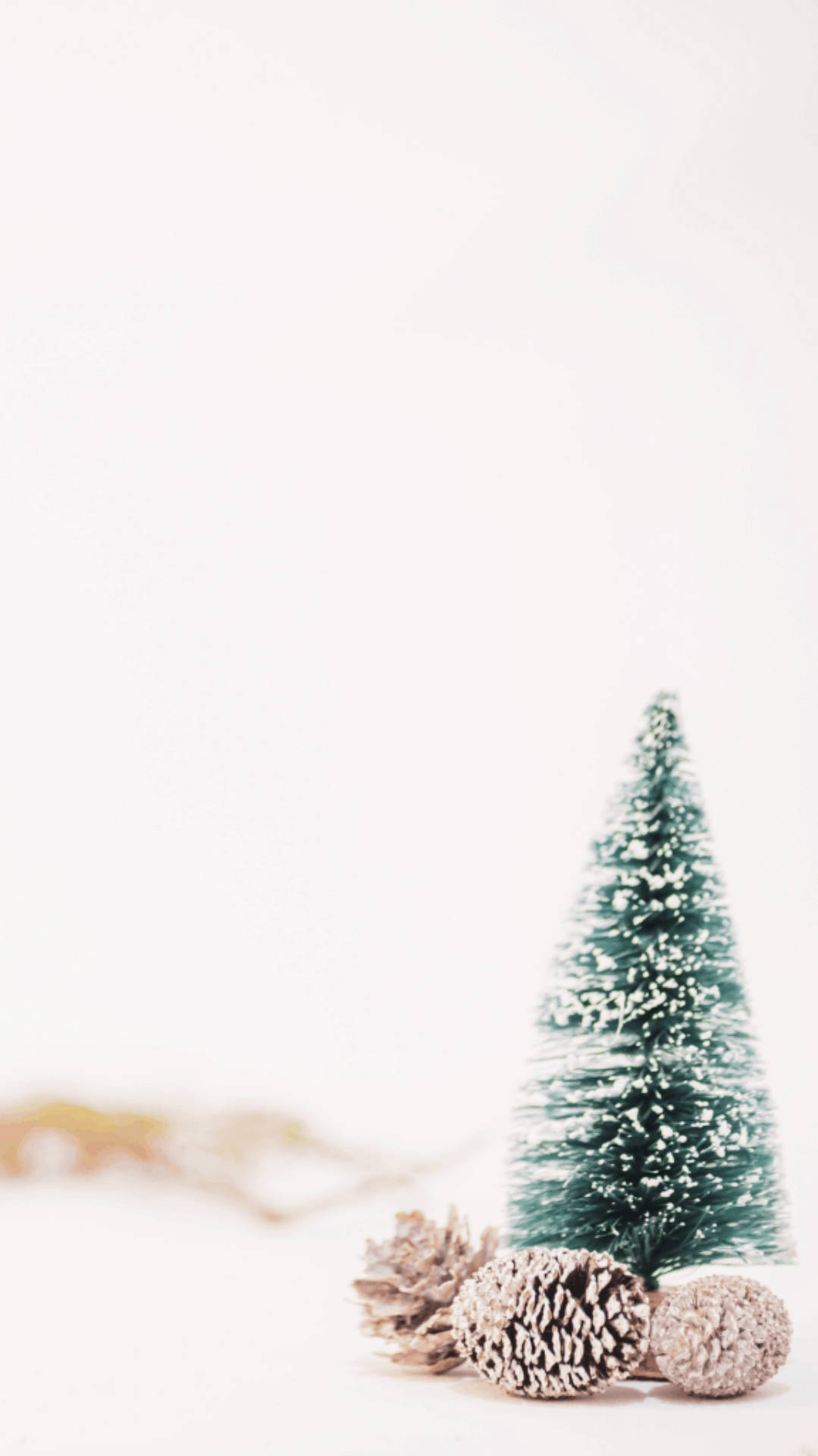 Christmas Aesthetic Pine Tree Cones