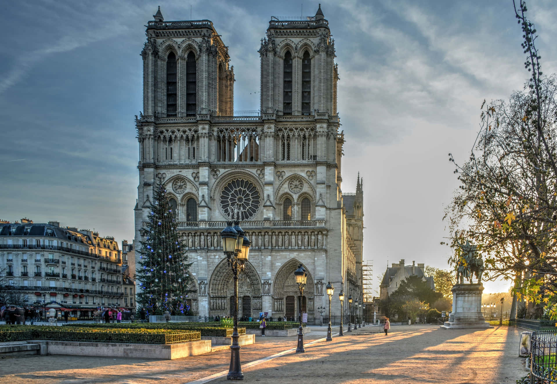 Christmas At Notre Dame Cathedral Background