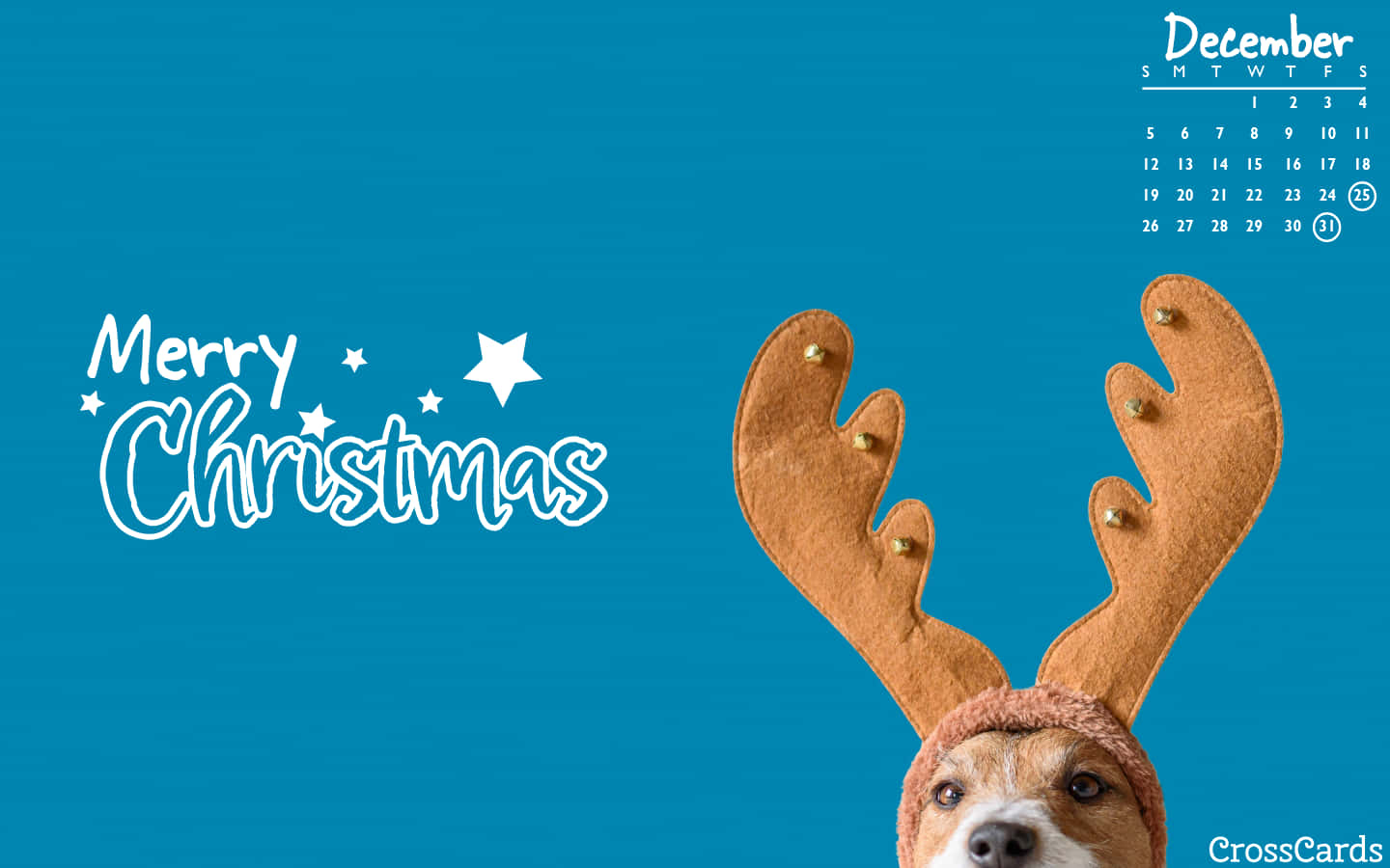 Christmas Dog Calendar Background