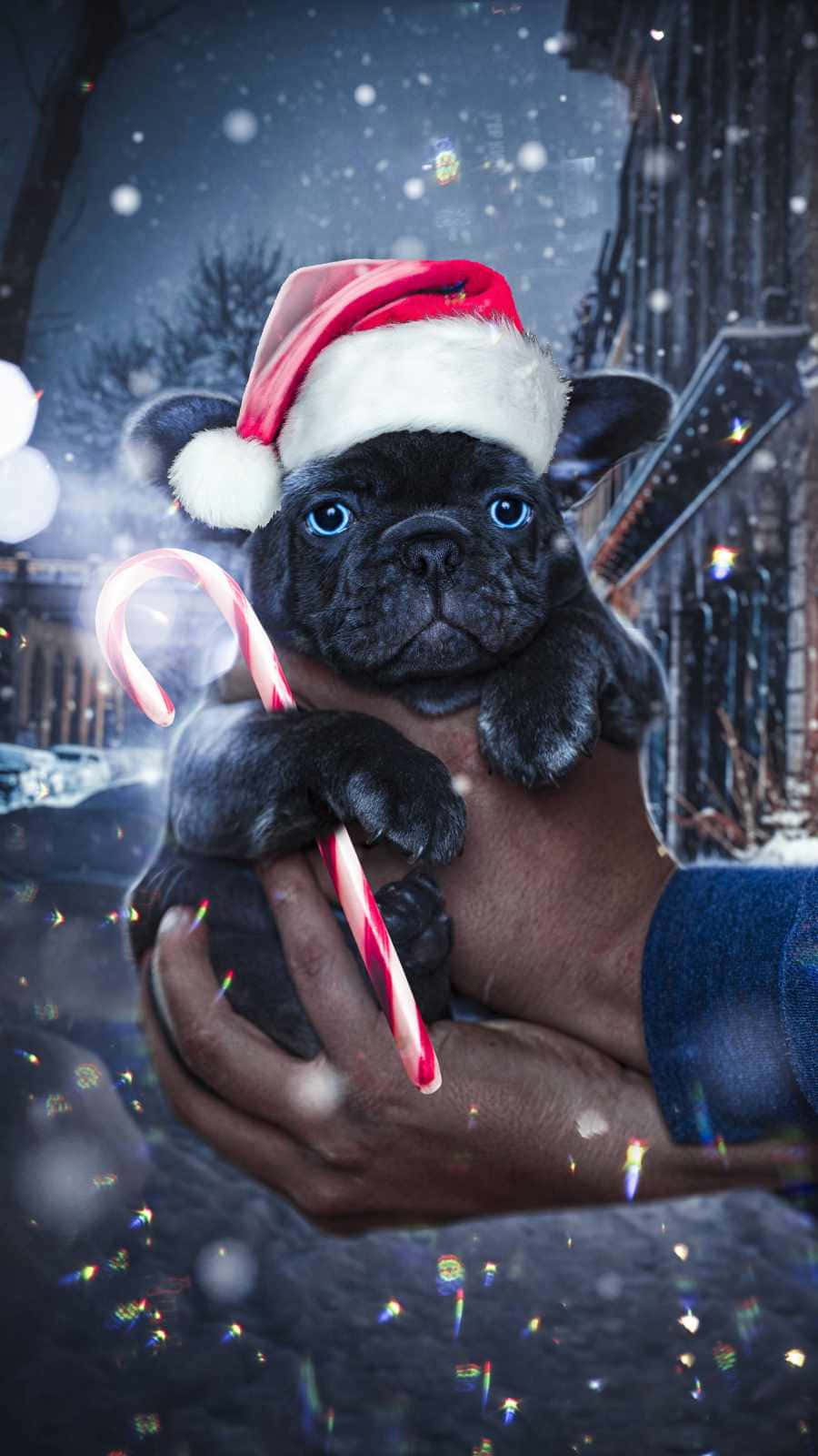 Christmas Dog With Candy Cane Background