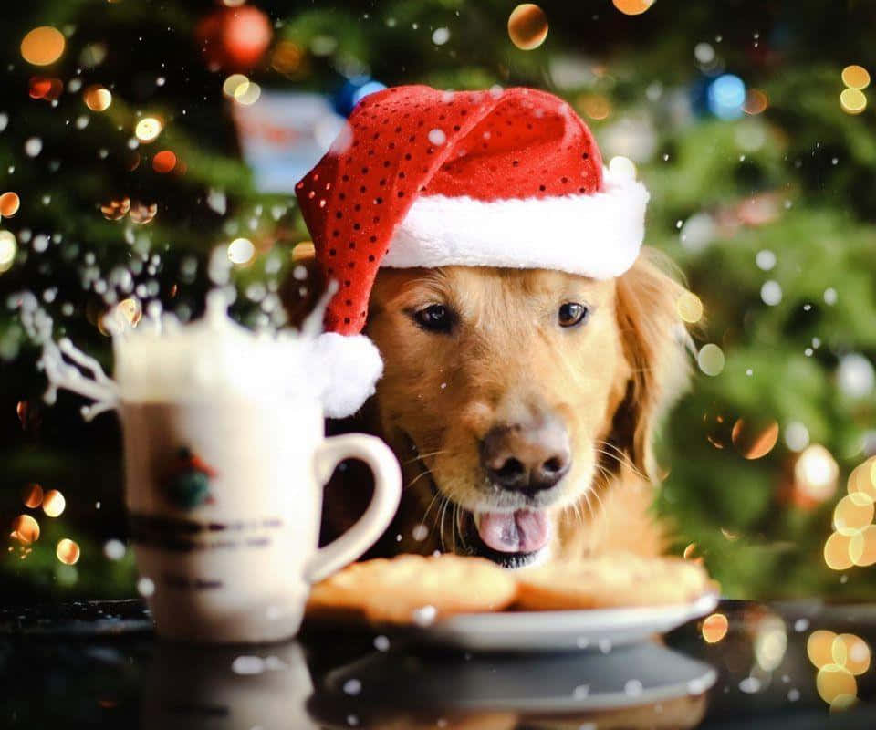 Christmas Dog With Cookies And Egg Nog Background