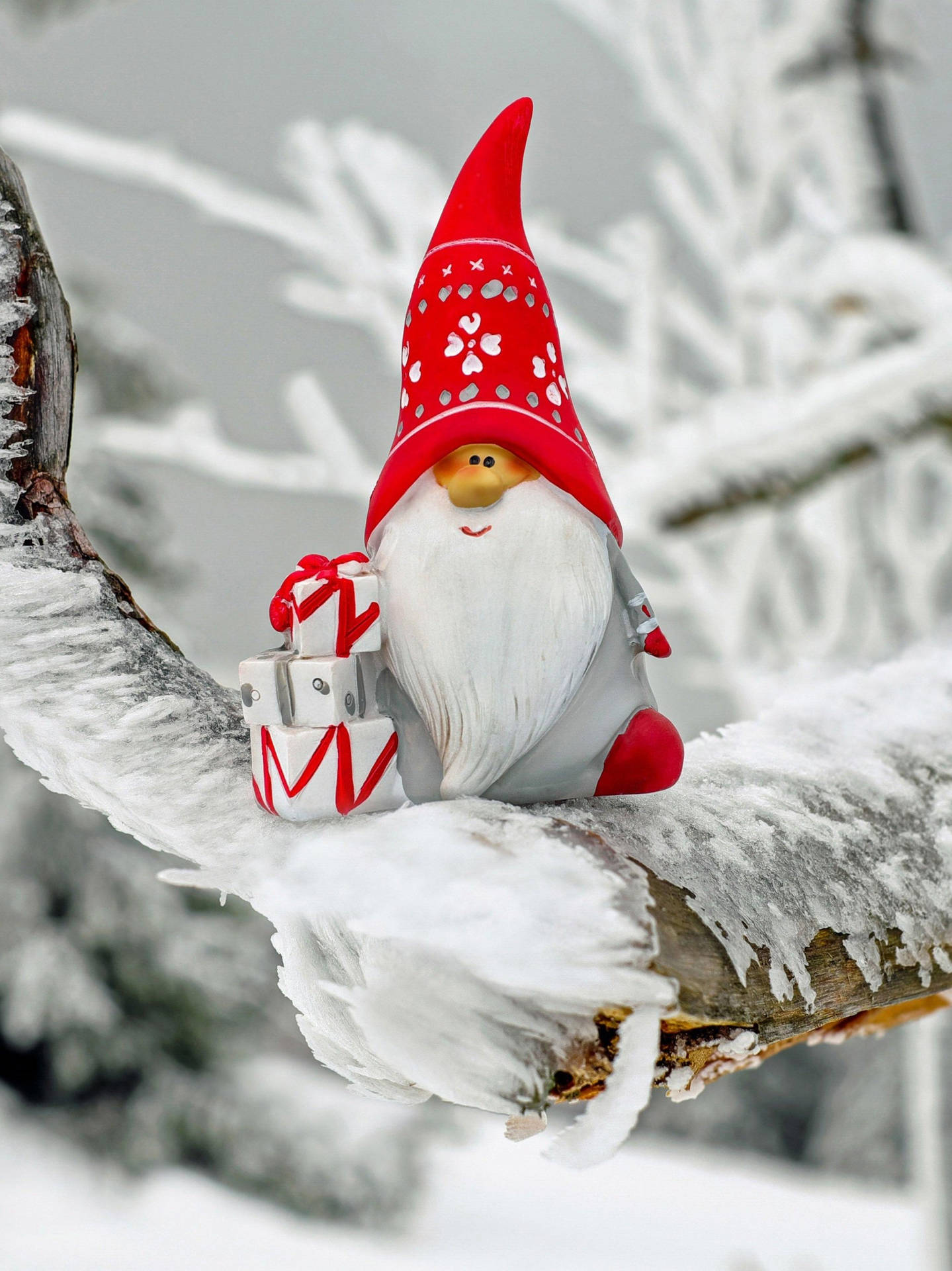 Christmas Elf With Long White Beard Background