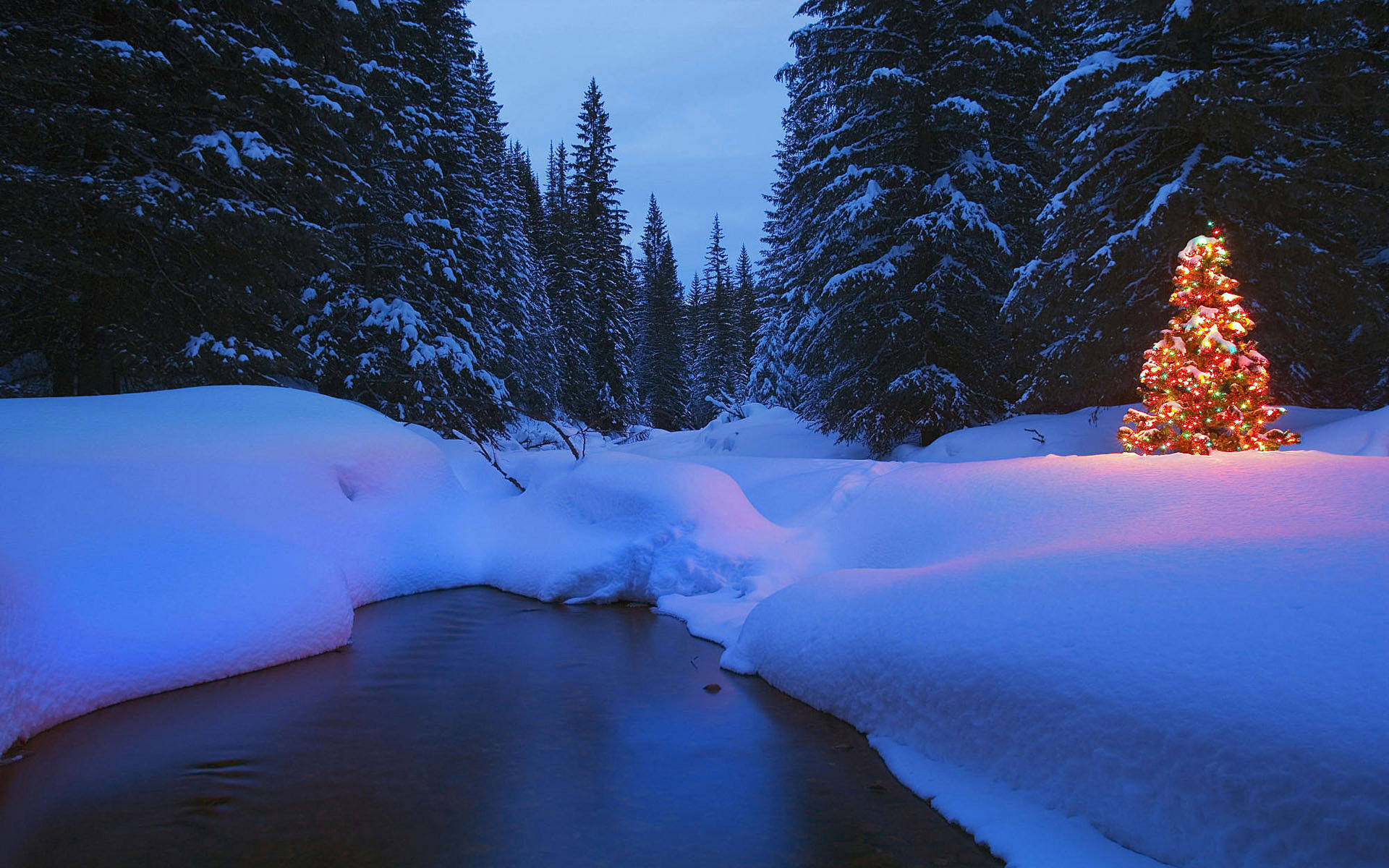 Christmas Forest With Snowy River Background