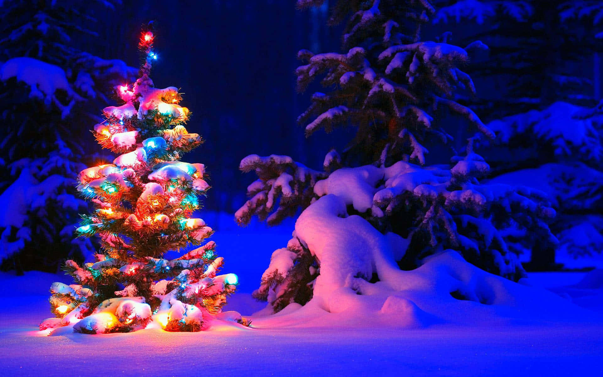 Christmas Joy: Celebrating The Most Wonderful Time Of The Year Background