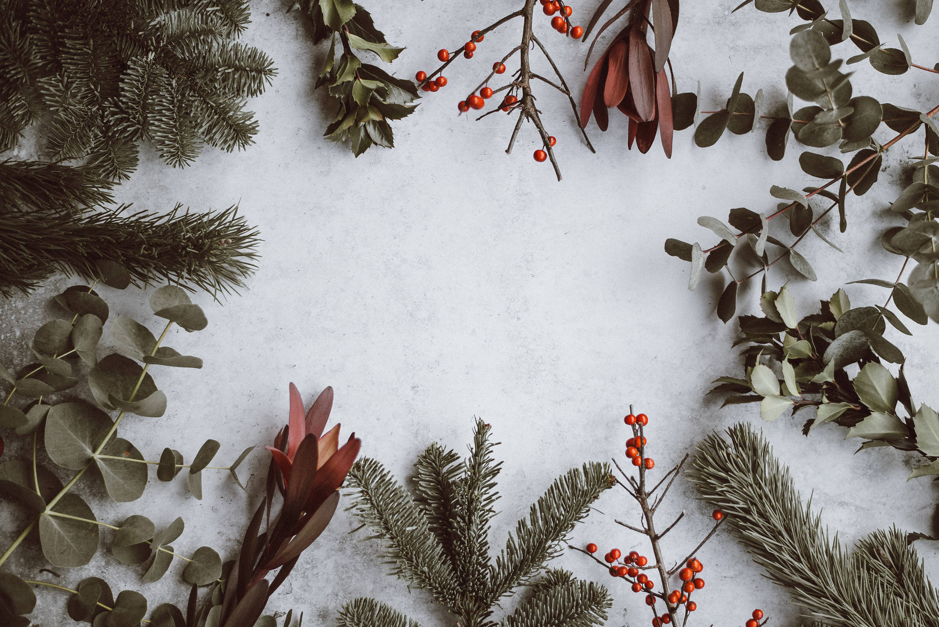 Christmas Leaves In White Background