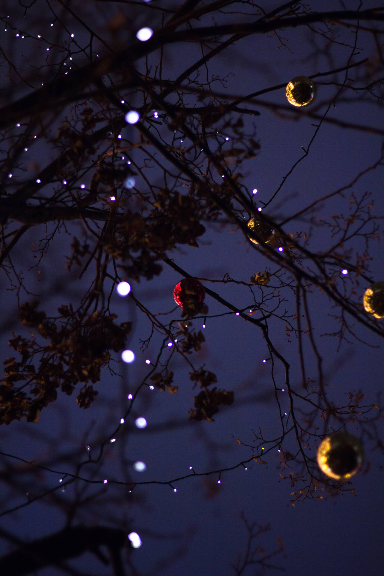 Christmas Lights Balls Bare Branches Background
