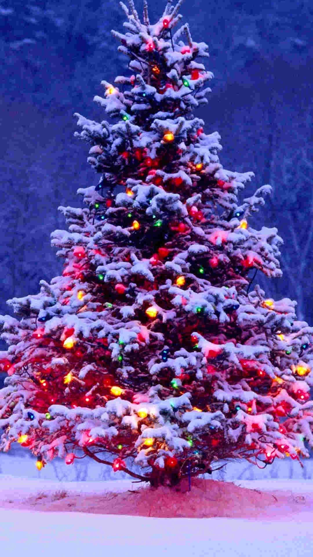 Christmas Lights Iphone Snow Background