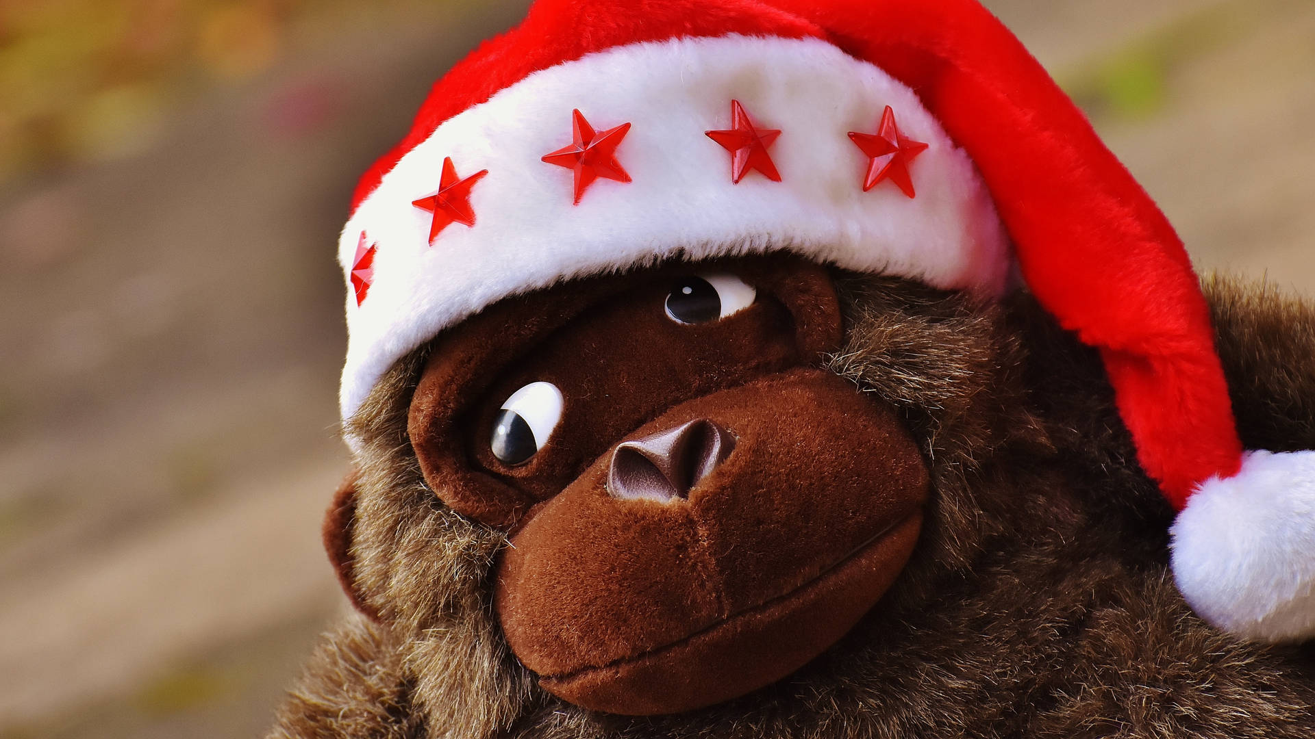 Christmas Monkey Santa Hat Background