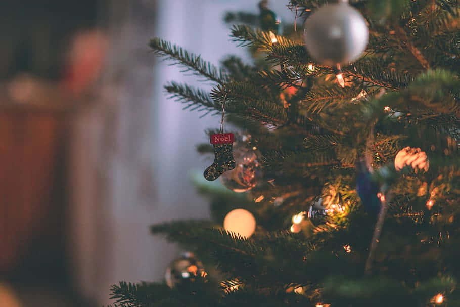 Christmas Night Illuminated With Festive Cheer Background