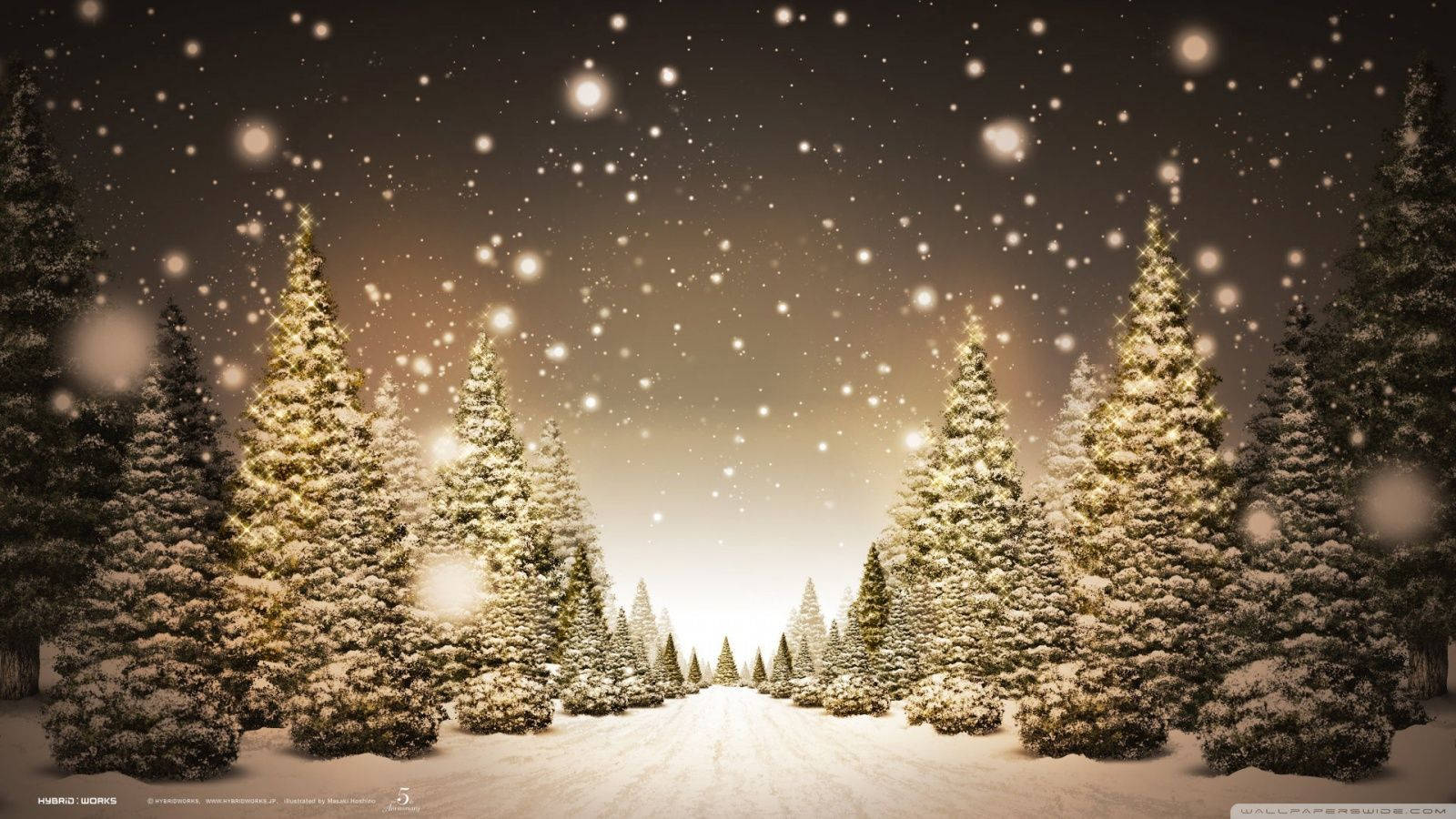 Christmas Pine Trees Background