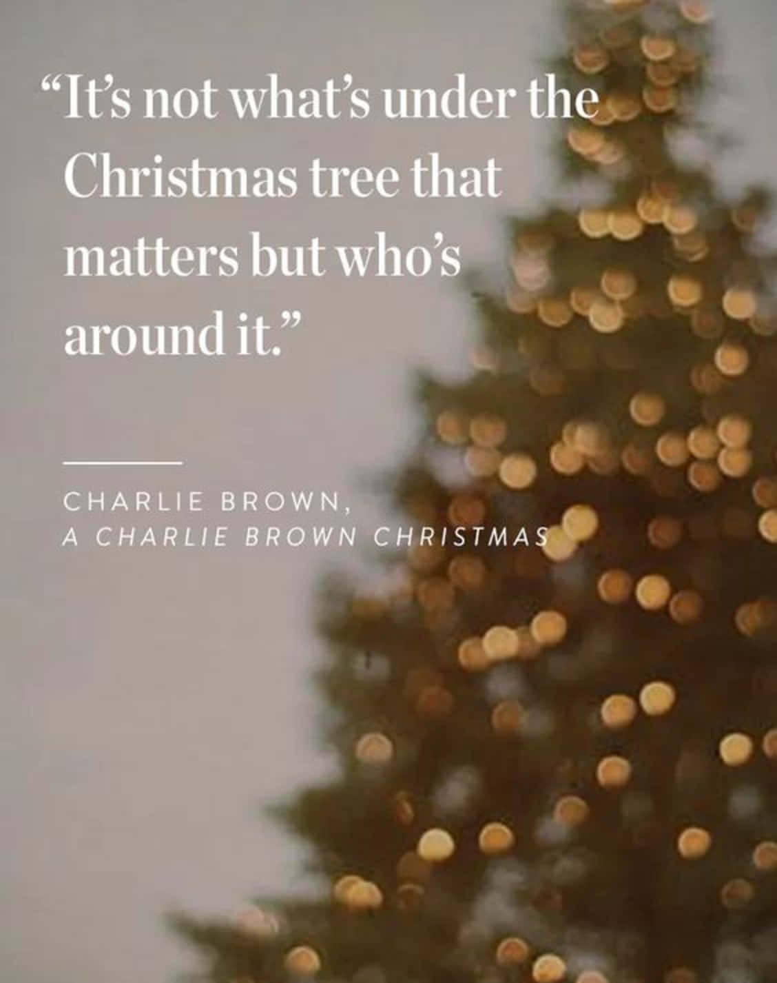 Christmas Quote From Charlie Brown Background