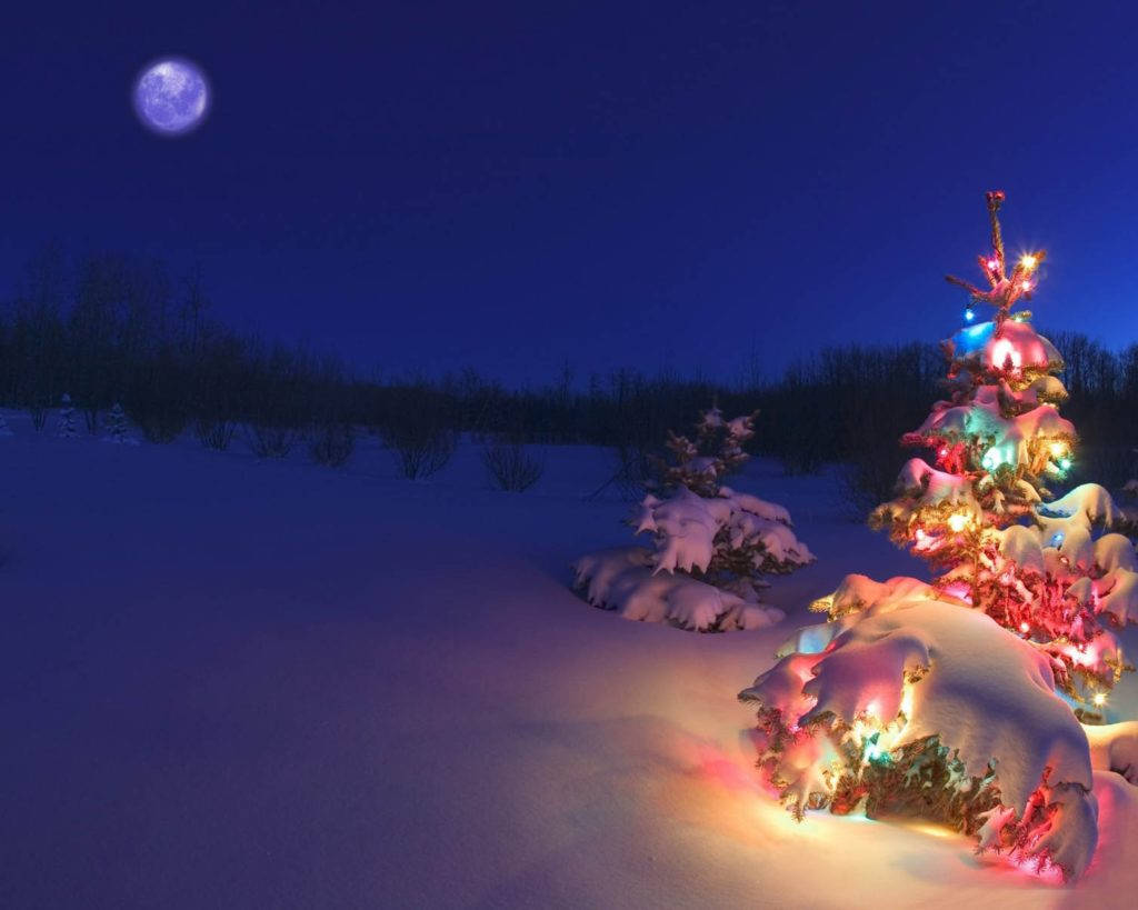 Christmas Scenes Outdoor Christmas Tree Background