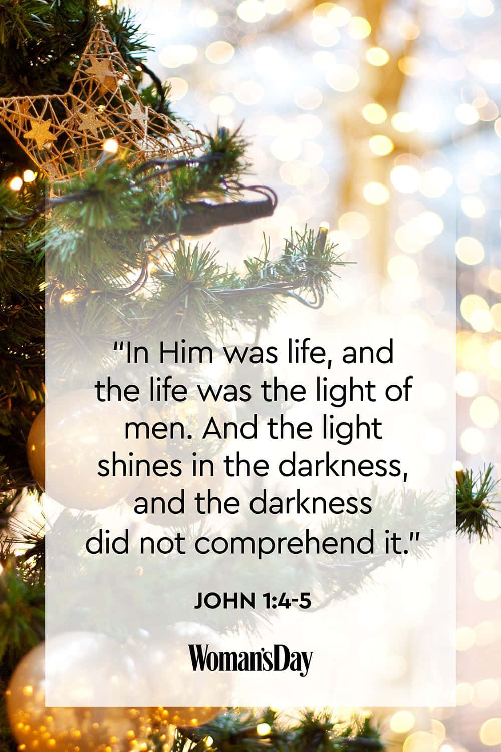Christmas Scripture Bible Verse Christmas Tree Background