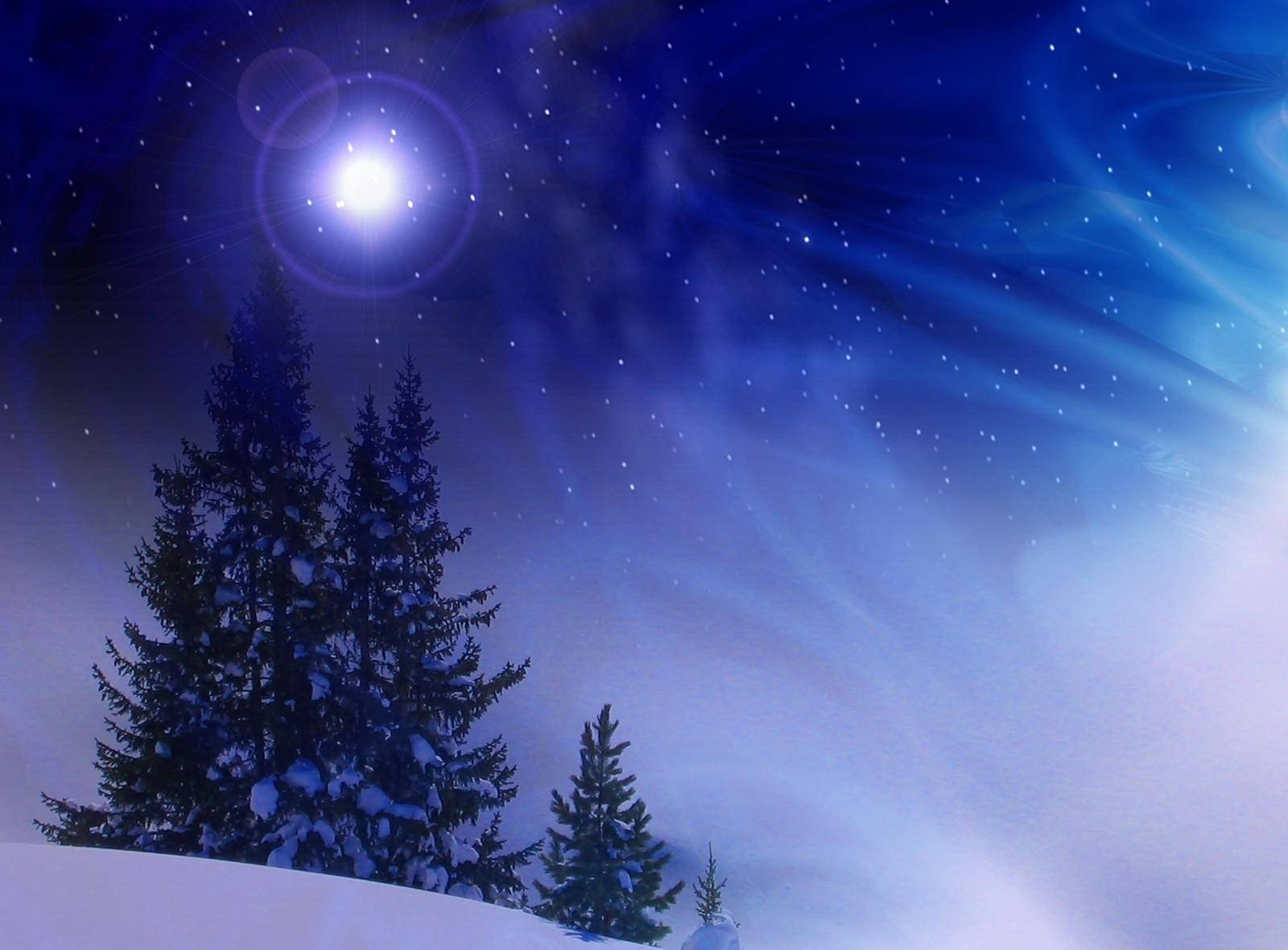 Christmas Tree Blue Night Blizzard Background