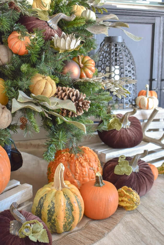 Christmas Tree Décor Fall Thanksgiving Background