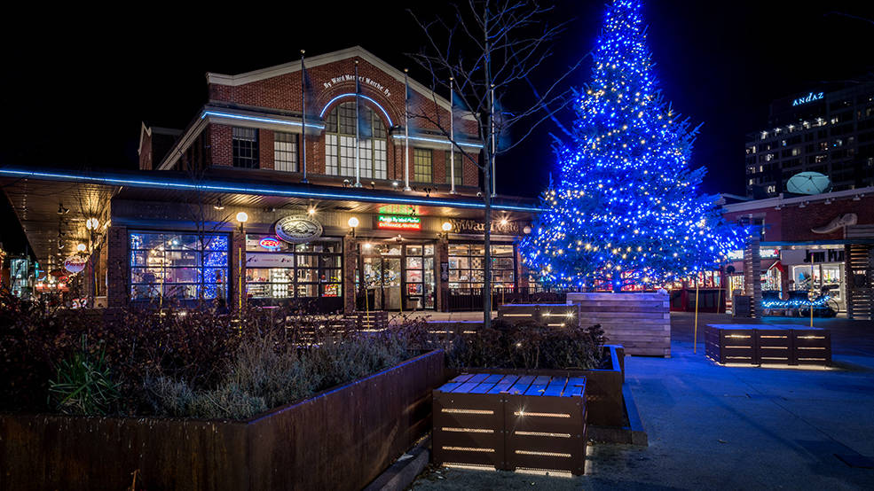 Christmas Tree In Byward Market Square, Ottawa