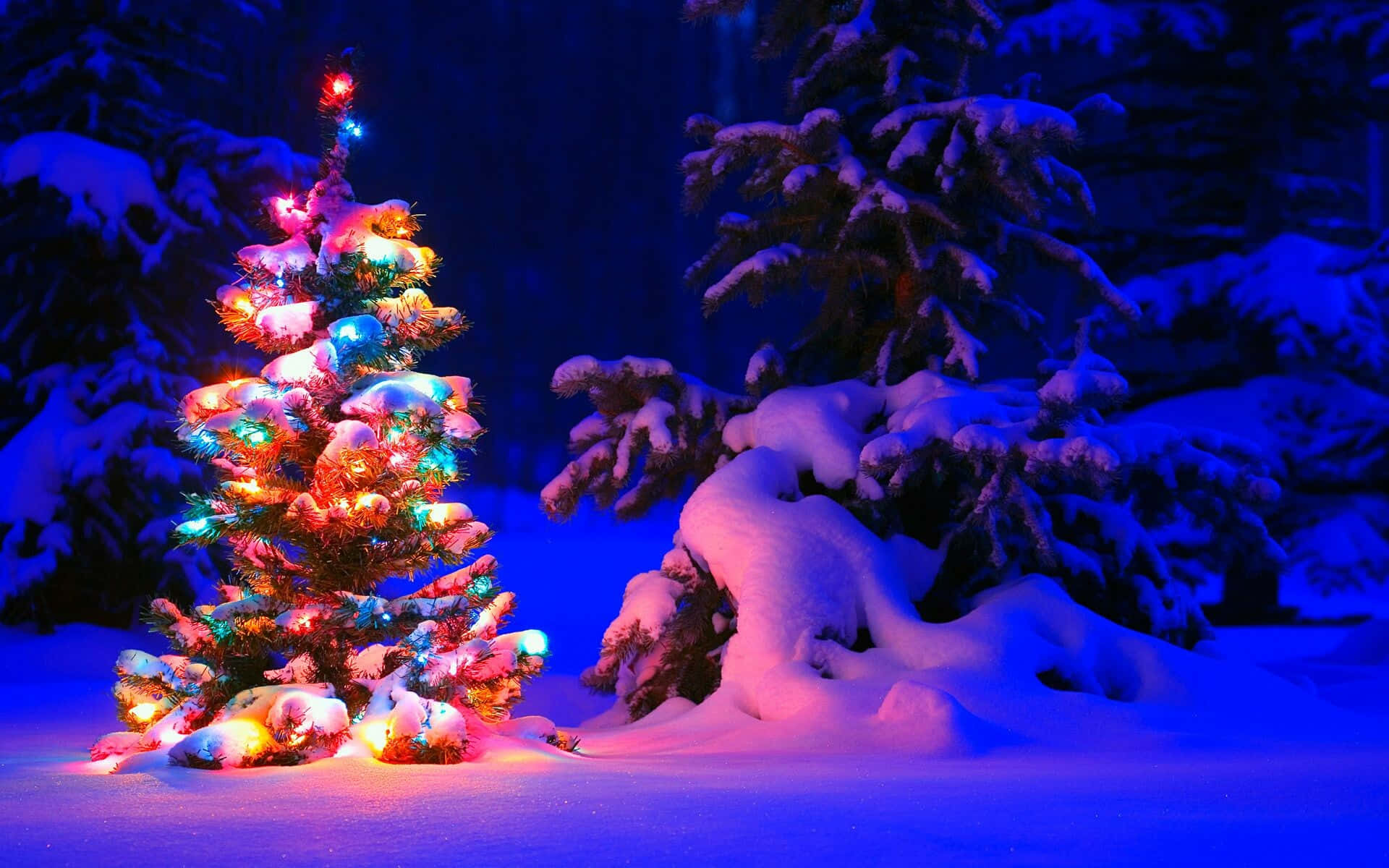 Christmas Tree In The Snow Background