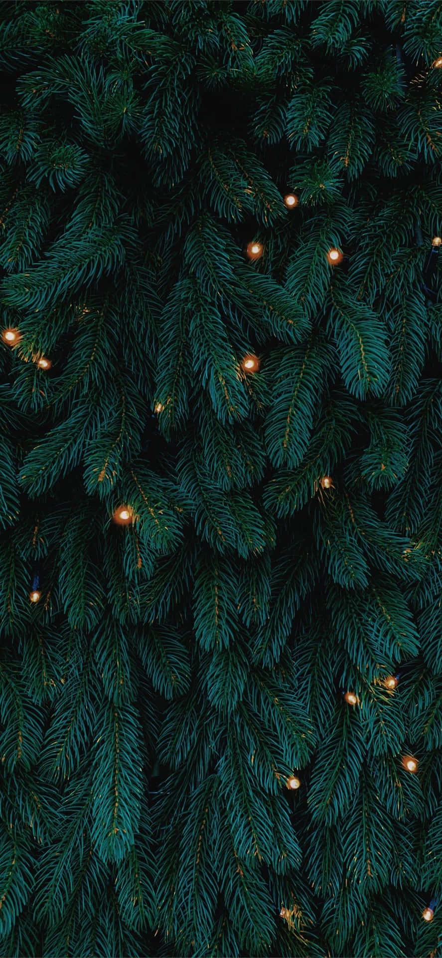 Christmas Tree Lightsi Phone Wallpaper Background