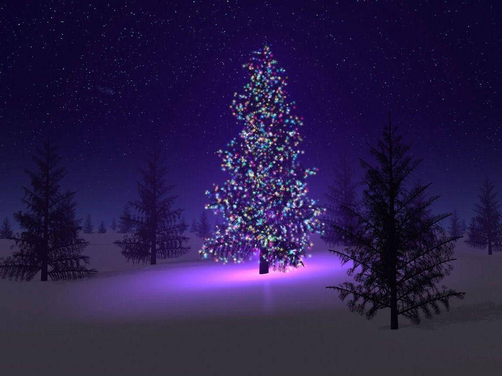 Christmas Tree With Pretty Purple Lights Background