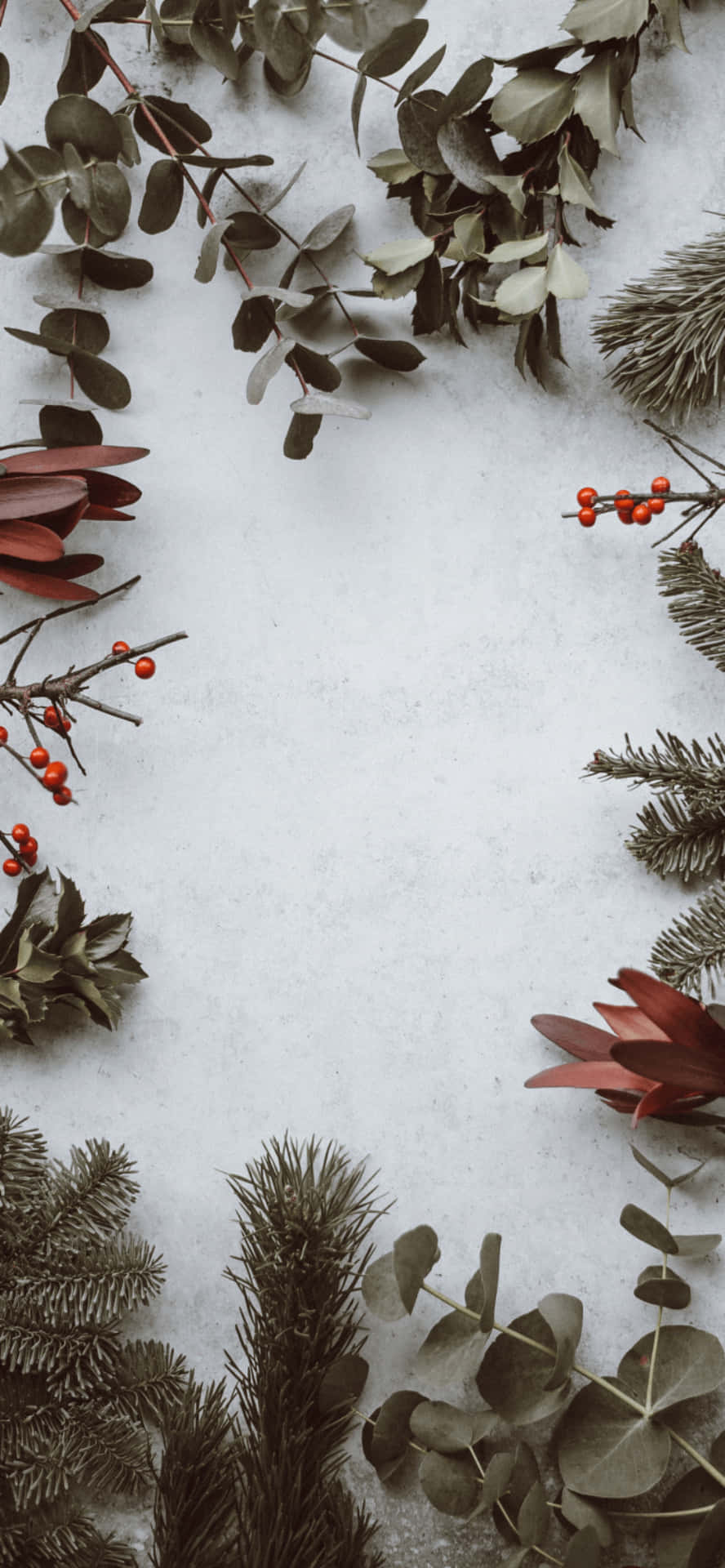 Christmas Wreath With Holly And Berries On A White Background