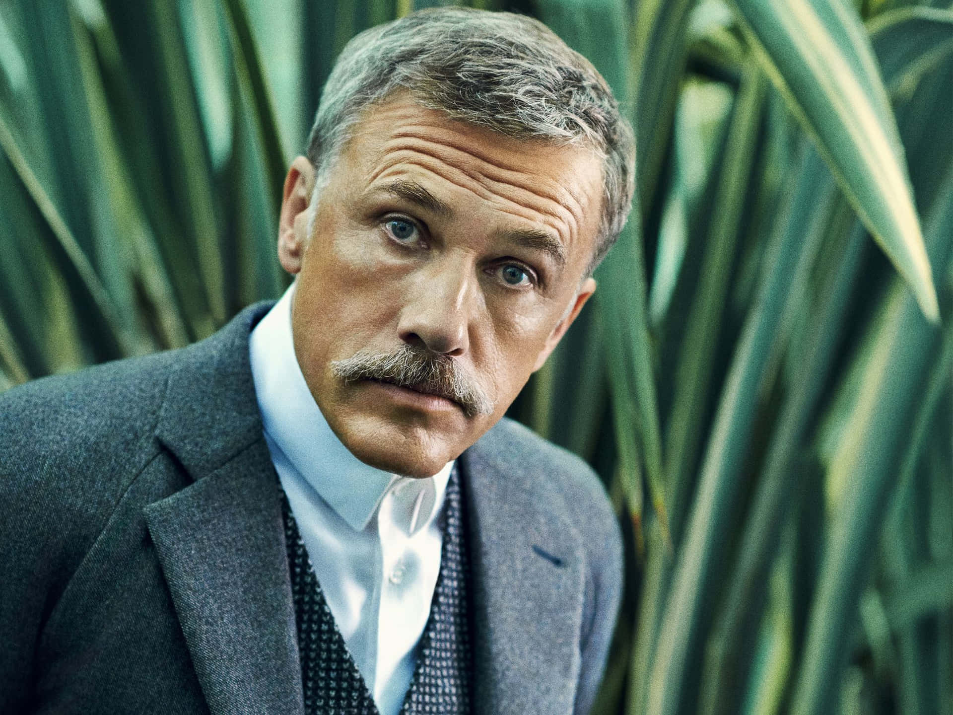 Christoph Waltz [wallpaper] Background