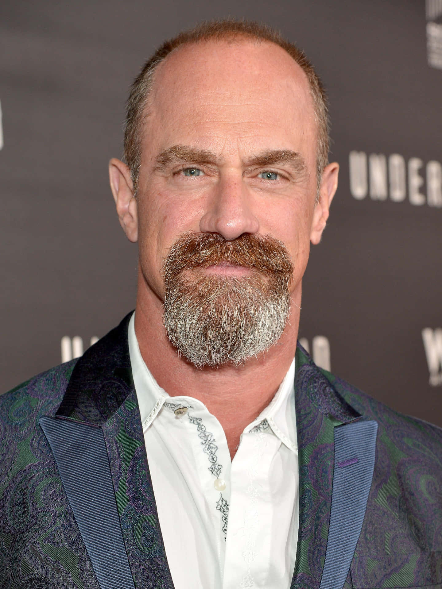 Christopher Meloni [wallpaper] Background