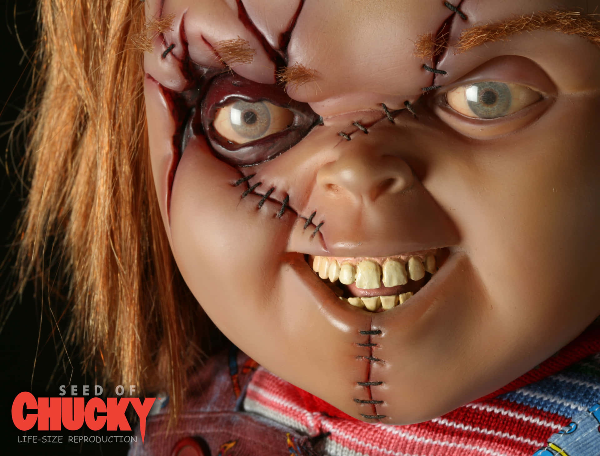 Chucky, The Notorious Horror Doll Background