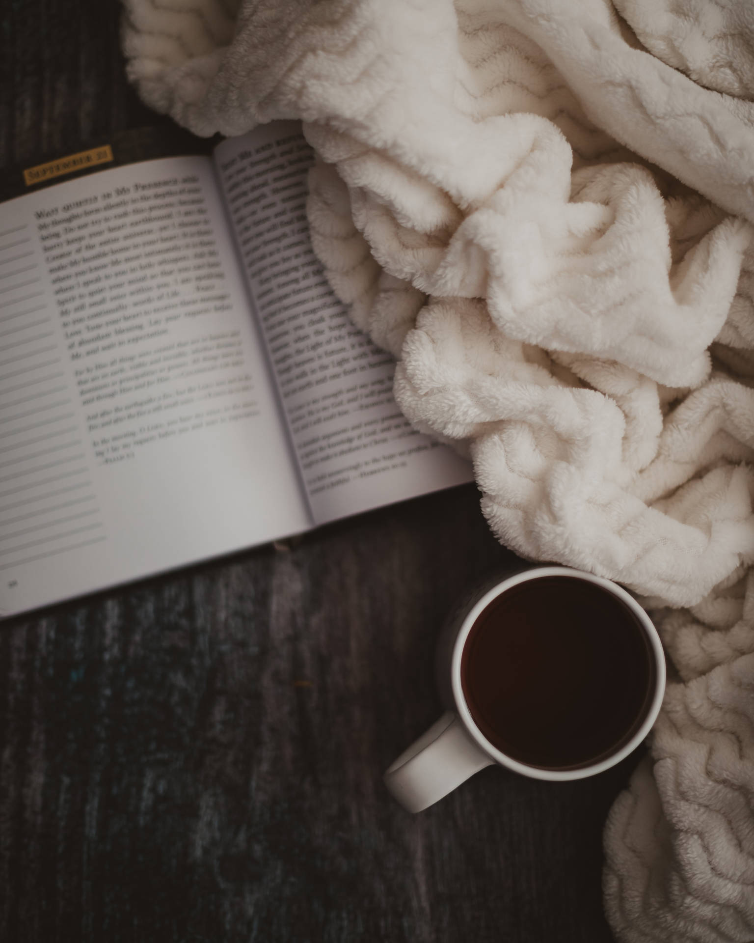 Chunky Blanket Aesthetic Book Desktop Background