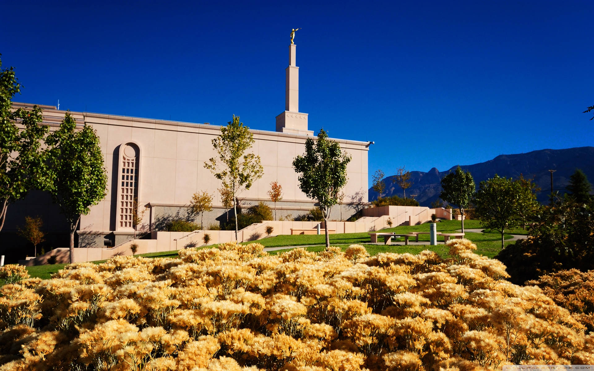 Church Of Jesus Christ Albuquerque Background