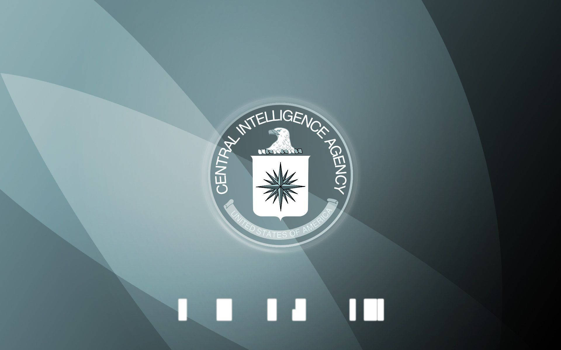 Cia Logo Grey Background