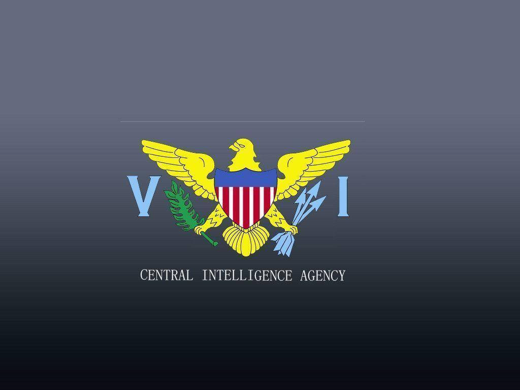 Cia Logo Yellow Eagle Background
