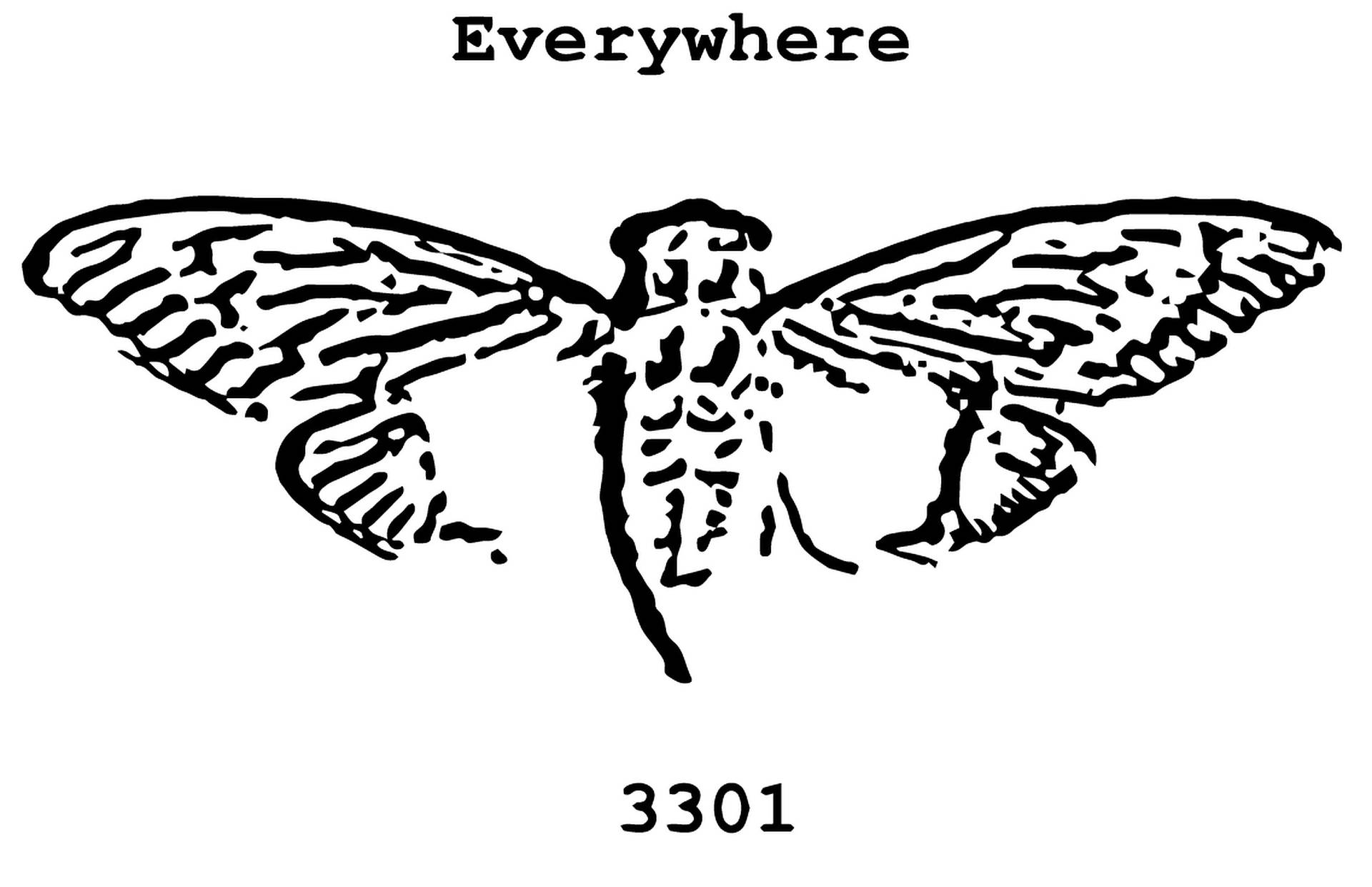 Cicada 3301 Outline