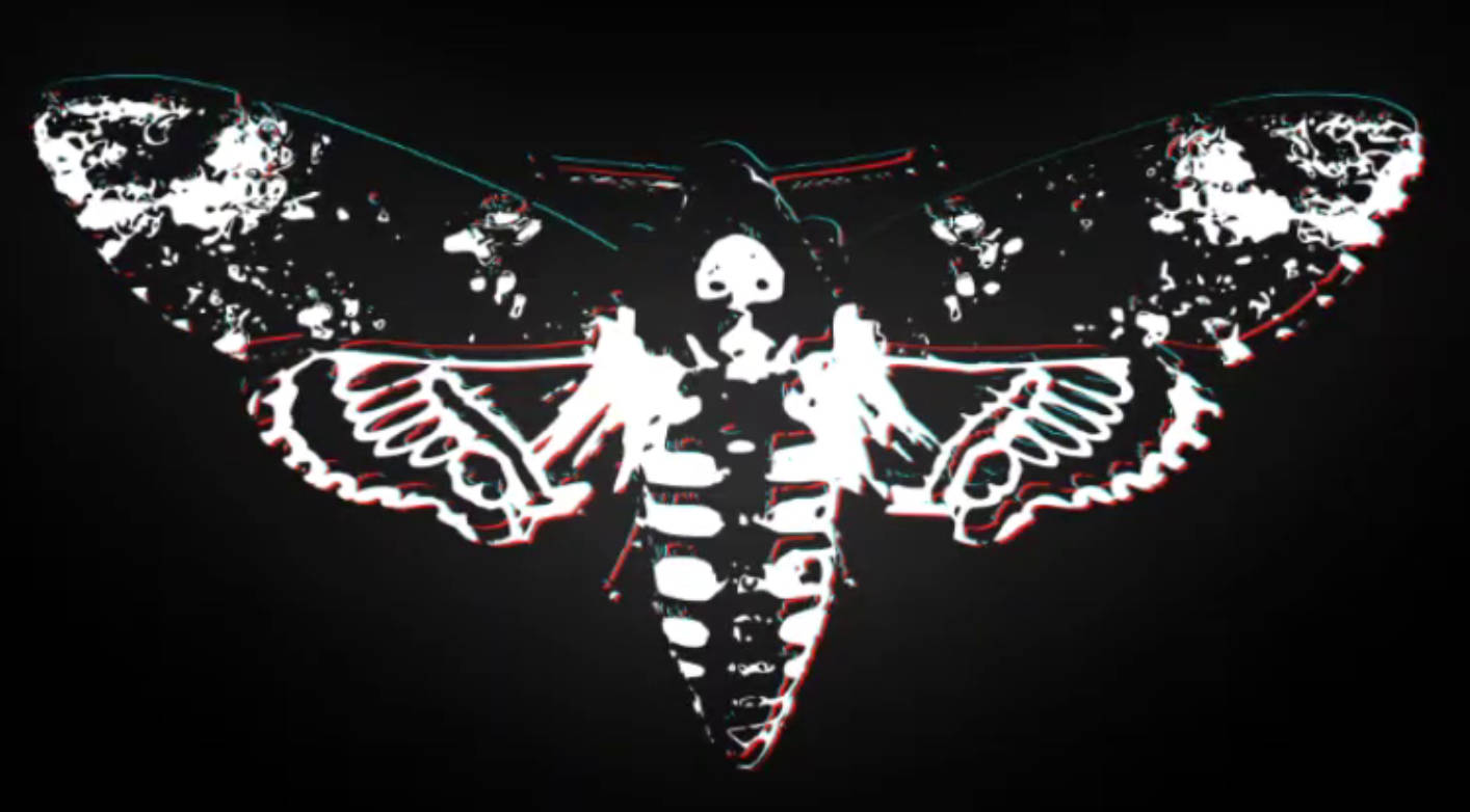 Cicada Abstract Art Background