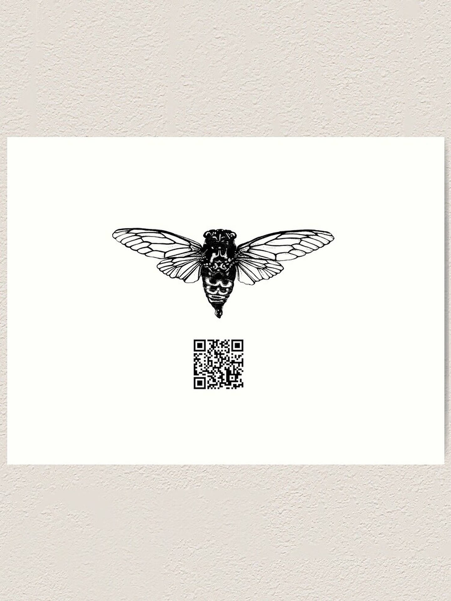 Cicada And Qr Code Background